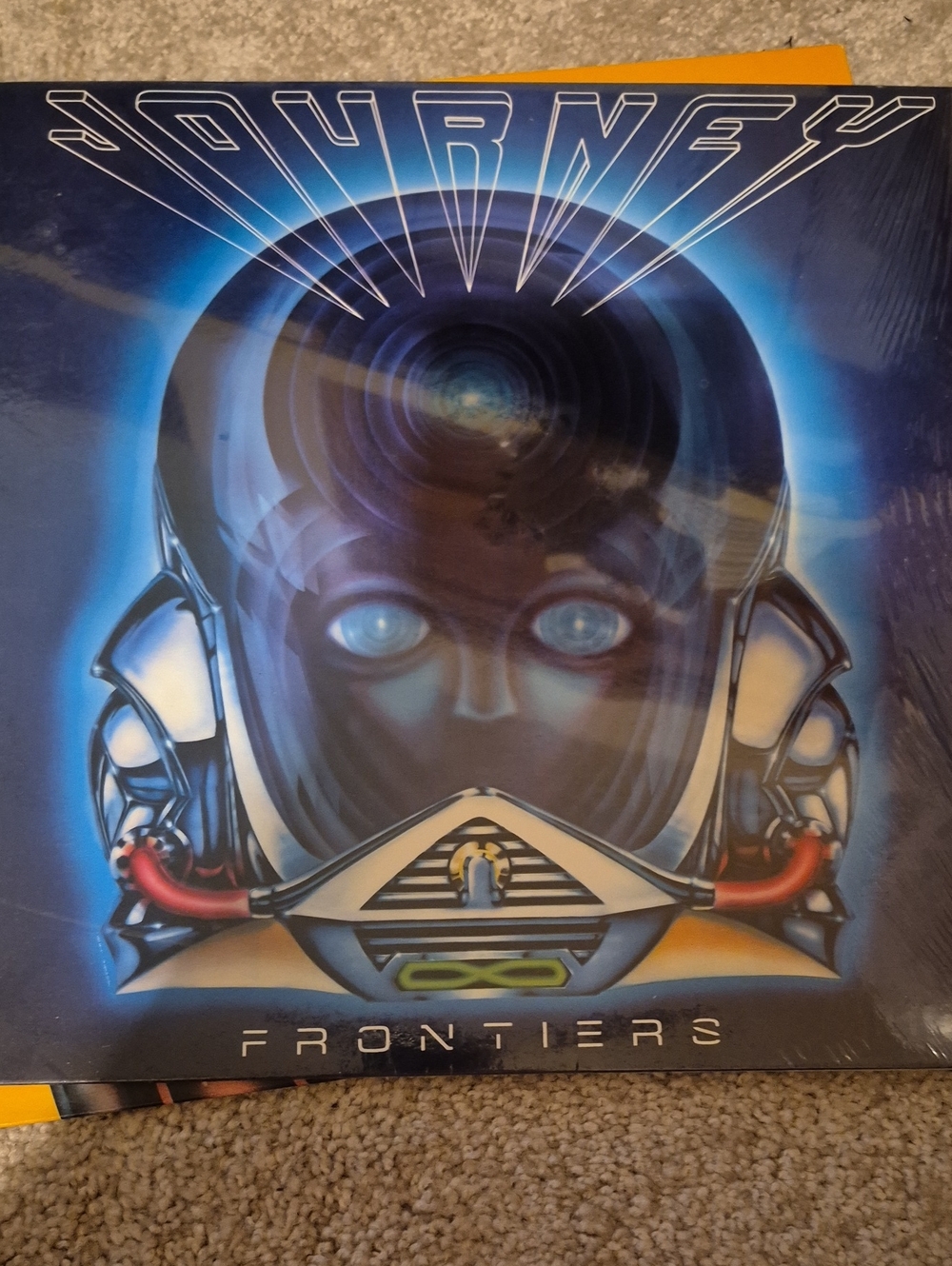 Vinyl record